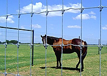 game fencing